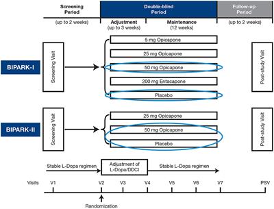 The Added Benefit of Opicapone When Used Early in Parkinson's Disease Patients With Levodopa-Induced Motor Fluctuations: A Post-hoc Analysis of BIPARK-I and -II